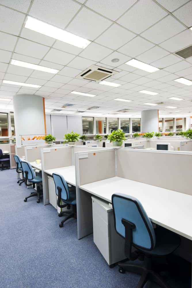 office with fluorescent lights showing some of the best plants for artificial light in an office
