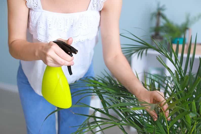 woman misting houseplants