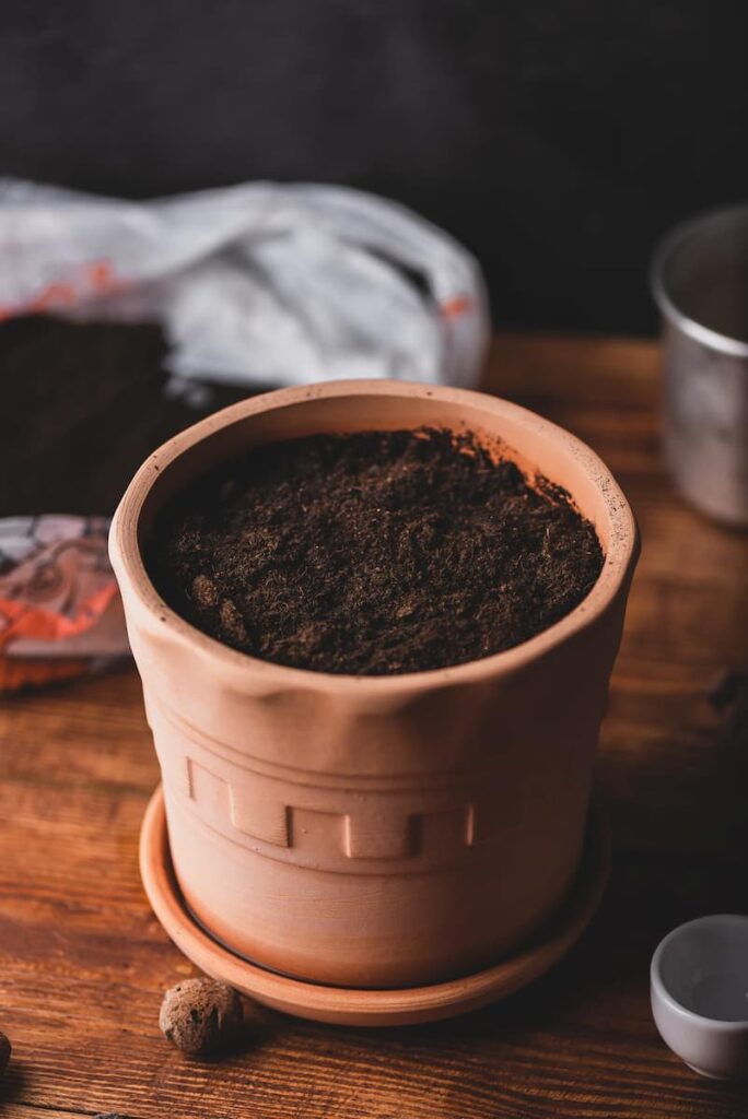 a dry soil in a pot