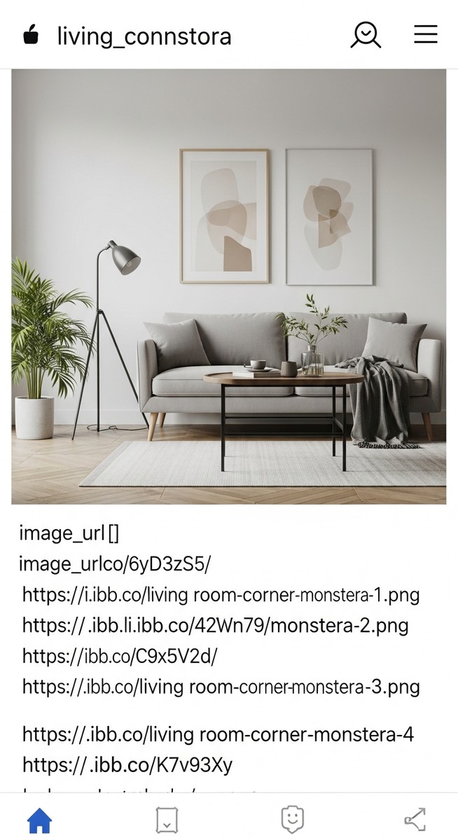 a large thriving monstera plant as a living room focal point, for monstera tuberculata